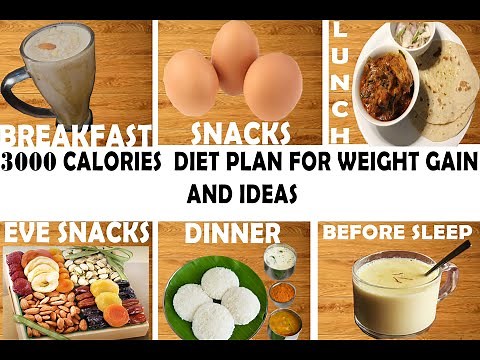 3000 Calorie Meal Plan in Tamil || Weight Gain Food Ideas in Tami l|| Kick Out Fitness