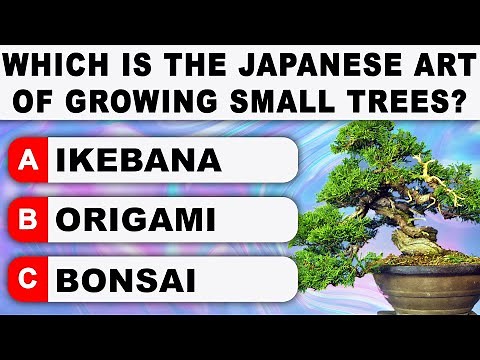 Ultimate Trivia Quiz - Round 61⭐ 50 Brain-Busting Questions