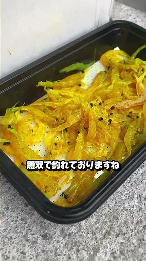 On May 27th, the largest fishing spot in Kansai, Minami Ashiyahama, was experiencing excellent fi...
