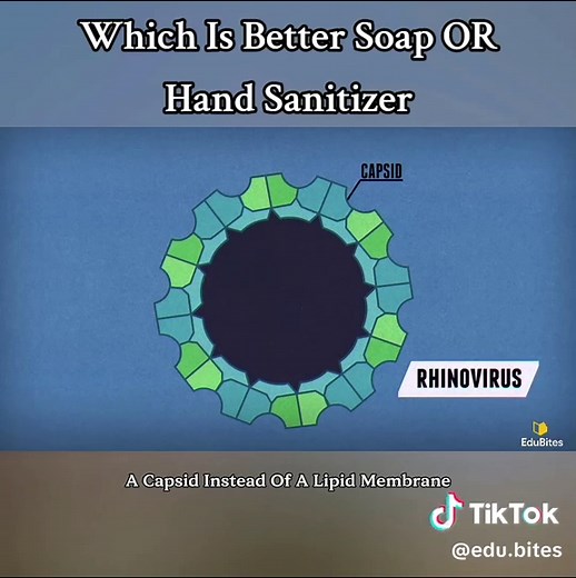 Soap vs Hand Sanitizer: Which Is More Effective?