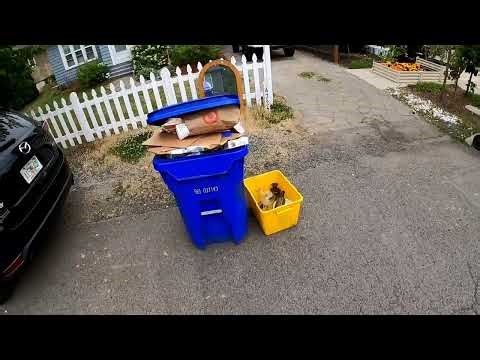 Garbage Man POV Recycle Part 4
