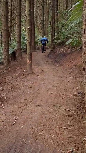 29K views · 19 reactions | Whakarewarewa Forest Loop Great Ride on Reels | Facebook