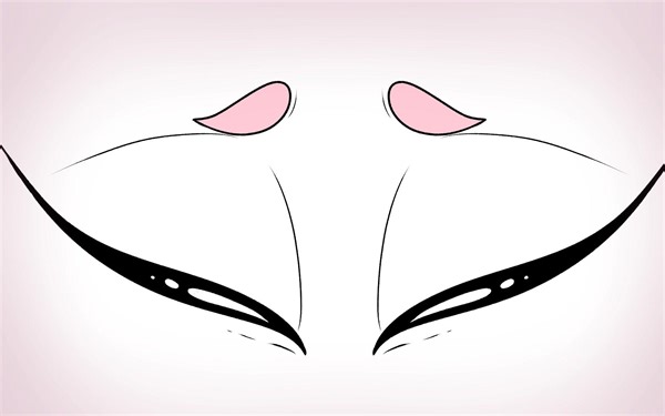 【高质量动画】蜘蛛与蝴蝶