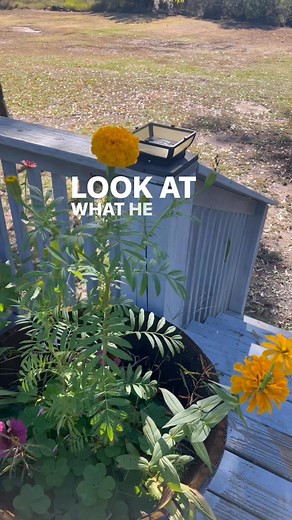 God is amazing!! #godamazing @God’s amazing | Patricia H. DuPont