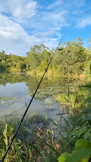 Morning #fishing | Amelia Ting