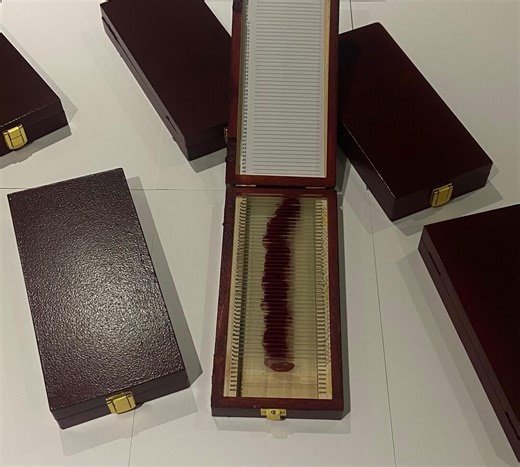 Dexter Morgan Bloodslide Trophy Box - Etsy