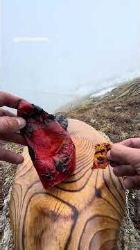 Nejextrémnější steak v přírodě! 🥩❄️