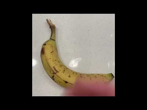 How to extract seeds from store bought bananas