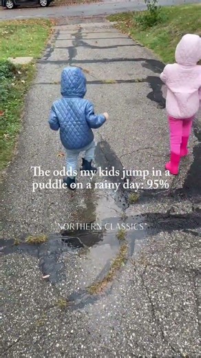 puddle jumper