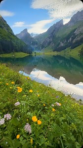 Summer has just started in the Alps 🏔️ 📍Seealpsee, Switzerland #alps #mountains #earth #earthplanet #swissalps #switzerland #roamtheplanet | David Aguilar Photography