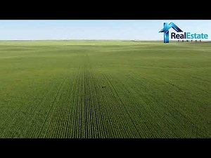 Good Cultivated Farm Land For Sale I Farm For Sale I Retlaw, Alberta