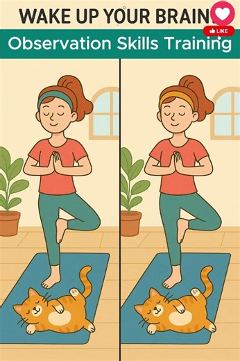 Visual Perception Practice