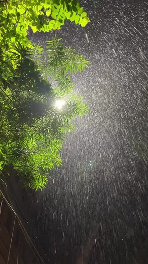 Enjoy the Rain Showers: Peaceful Nature Vibes Video Compilation