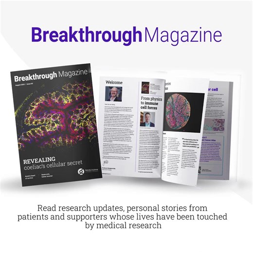 📖 Our August edition of Breakthrough magazine is out now. Inside, you'll discover: - Why some people living with coeliac disease continue to experience symptoms despite strict diet - Why vaccination site matters for immune response - How researchers have refined genetic tests guidelines for an inherited heart condition Read the full issue here: https://ow.ly/MweE50WUi6y | Garvan Institute of Medical Research