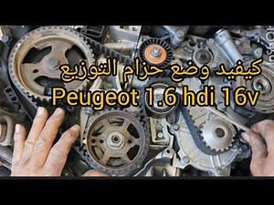 Comment changer Courroie de Distribution Moteur Peugeot, Citroën 1.6 hdi 16v