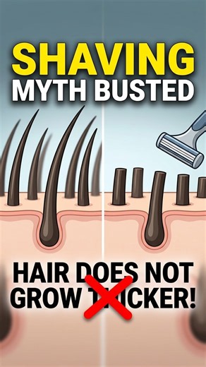 Why Shaving Doesn't Change Your Hair Thickness 📉 #skincare #hairremoval #mythbusters