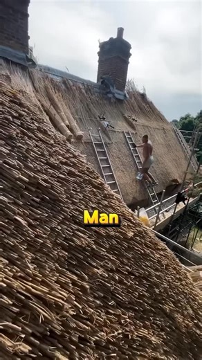 @ZverMind on Instagram: "Why This Man Building a Roof with Grass A man is building a roof entirely out of grass. It looks like it would rot in the rain, but this is actually one of the most advanced construction methods in history. It’s called thatching, and people in the UK and Ireland have been using this technique for over 4,500 years, all the way back to the Bronze Age. By using a ridged paddle to beat the straw, they pack the layers so tightly that they create a natural barrier against wind
