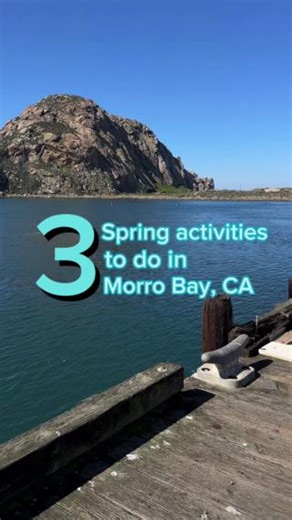 53K views · 466 reactions | Spring into Morro Bay fun with these 3 can’t-miss activities during your next visit.  Tag your adventure buddy that you want to explore these with. | Morro Bay CA | Facebook