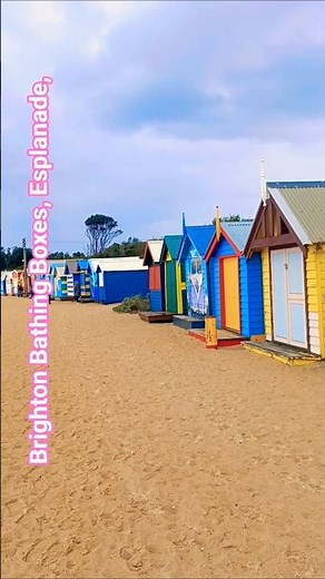 Brighton Bathing Boxes