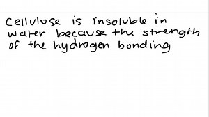 SOLVED:25.41 Why is cellulose insoluble in water?