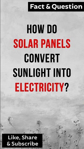 How do Solar Panels convert Sunlight into Electricity? #solarsystem #solarenergy