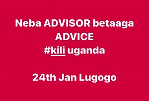 Talking Dogs Videos Compilation