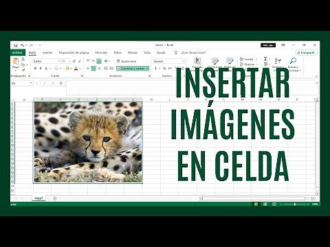 How to insert an image into an Excel cell?