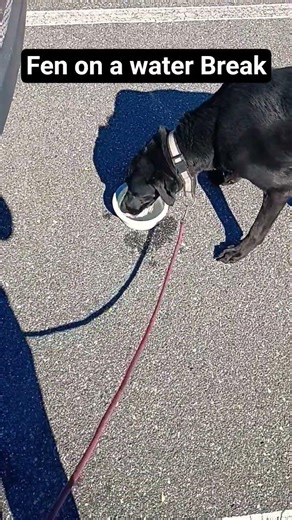 DOORDASH CHRONICLES SHORT: FEN TAKING A WATERBREAK❤️❤️ #fen