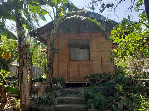 Fruits and Vegetables in the Philippine Folk Song "Bahay Kubo" (Nipa Hut)