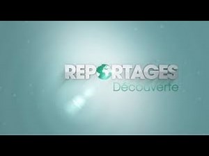 Evolution des génériques de Reportages Découverte