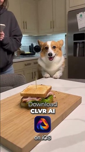 Hilariously Guilty Dogs Caught on Camera