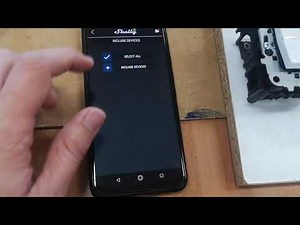 Shelly dimmer 2 alexa y google