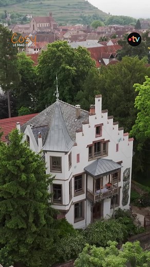 Dans le Haut-Rhin, une famille passionnée de patrimoine a redonné vie au "Domaine Bohème", une demeure du 19ᵉ siècle chargée d'histoire. Avec ses fresques, ses gîtes thématiques et la décoration audacieuse, cette maison emblématique est devenue une véritable œuvre d'art 🏡 Pour (re)voir Cosy, le mag déco : https://www.france.tv/france-3/grand-est/cosy-le-mag-deco/ | France 3 Alsace