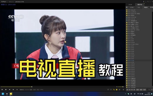 看电视直播 教程 电脑看电视台直播 电视家 直播源 potplayer iptv