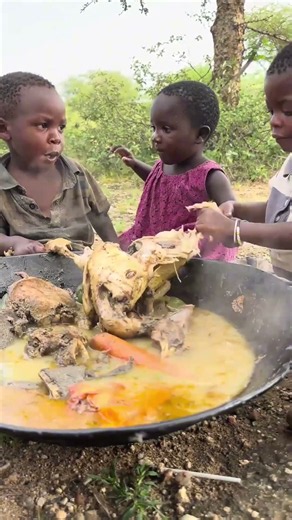 The daily life and diet of the Hazarbi tribe