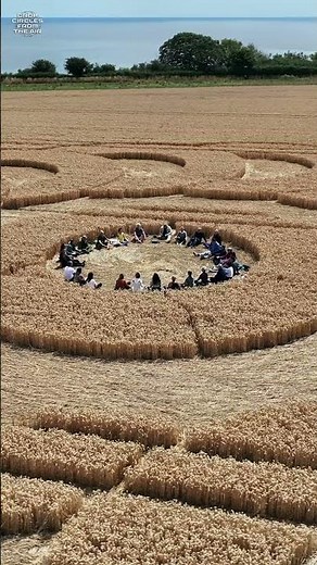 Croppies in the Lyme Regis Crop Circle 2025 | Crop Circles From The Air