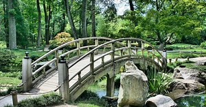 ​5 ejercicios Mindfulness para tu bienestar emocional