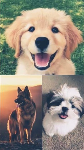 my Sheru , my Angel and my hero 🧿🧿😊❤️