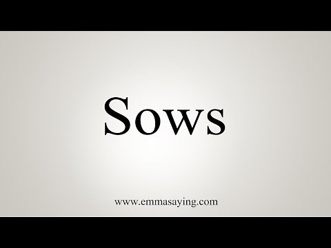 How To Say Sows