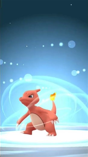 Charmander to charMillion → Charizard Evolution! 🔥 Pokémon GO