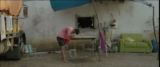 Review: ‘Neon Bull,’ With Creatures Great and Small
