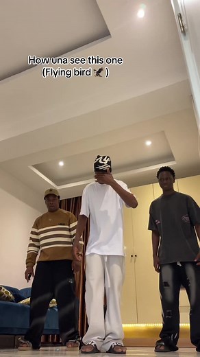 Discover the Amazing Flying Bird Movements