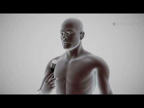 Why Does Your Stomach Growl? The Science Behind Borborygmi!