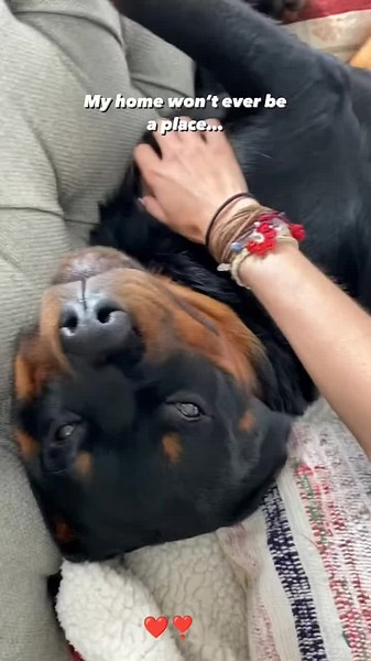 knotting girl on TikTok