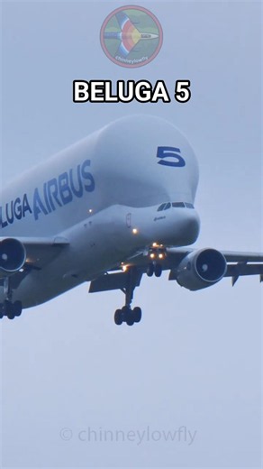 Beluga 5's Final Landing at Hawarden - Retirement Flight