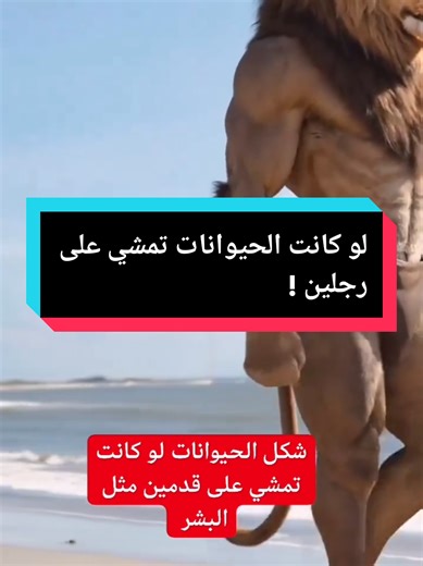 #animal #حيوانات