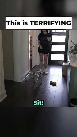 Julia is terriffied of robo dogs 😭😭