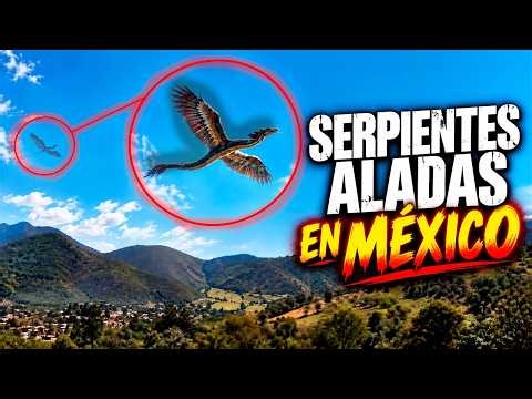 Serpientes aladas en México | Criptozoología y encuentros extraños