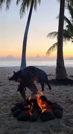 Survival Battle on a Deserted Island | Part 2