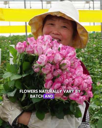 Why Your Flower Bulk Order Looks Different from the Sample 🌸 | Insider Secrets Explained #flowers